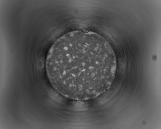 X0000101390230200807280945