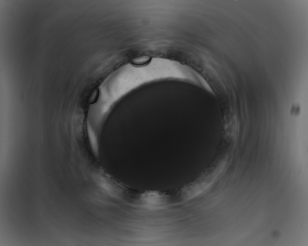 X0000101390231200807280945