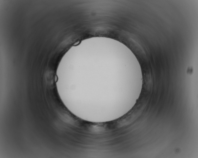 X0000101390232200807280945