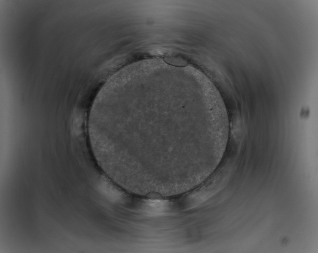 X0000101390233200807280945