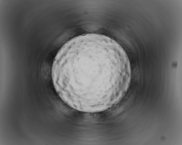 X0000101390234200807280945