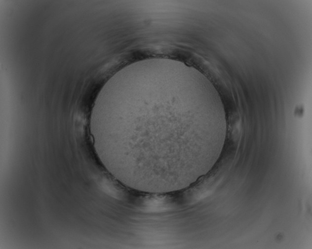 X0000101390235200807280945