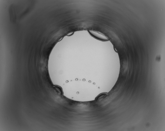X0000101390236200807280945