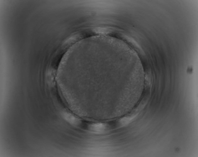 X0000101390237200807280945