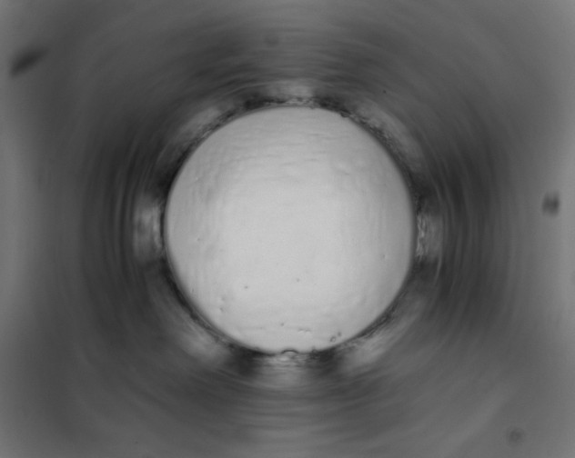X0000101390238200807280945