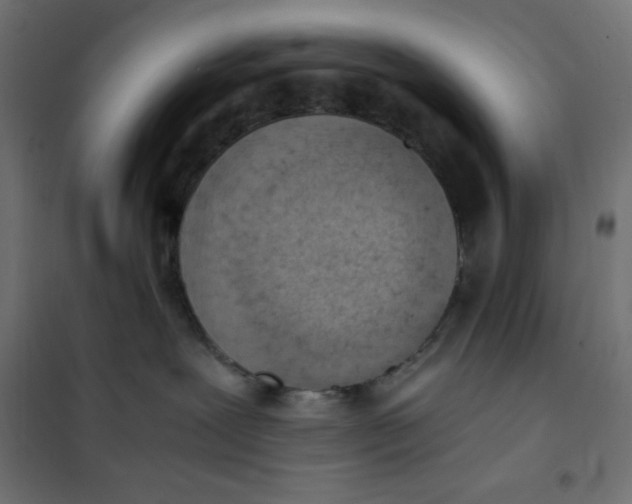 X0000101390239200807280945