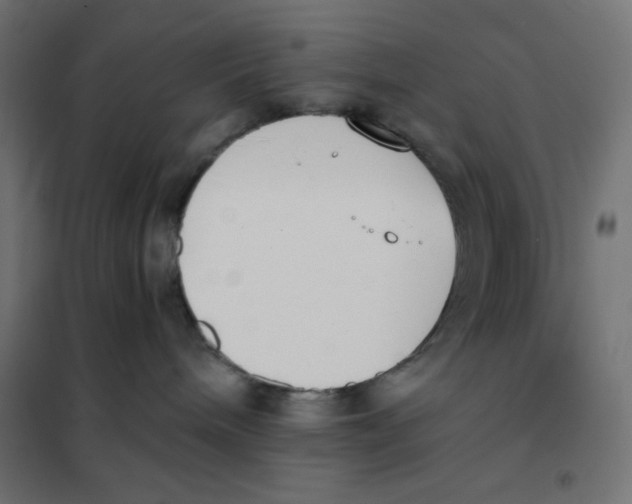 X0000101390240200807280945