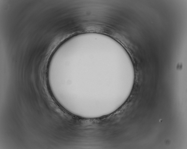 X0000101390241200807280944