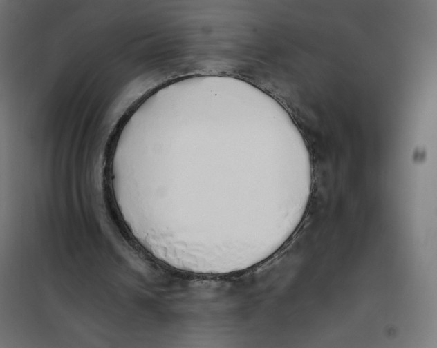 X0000101390242200807280944
