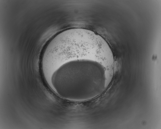 X0000101390243200807280944