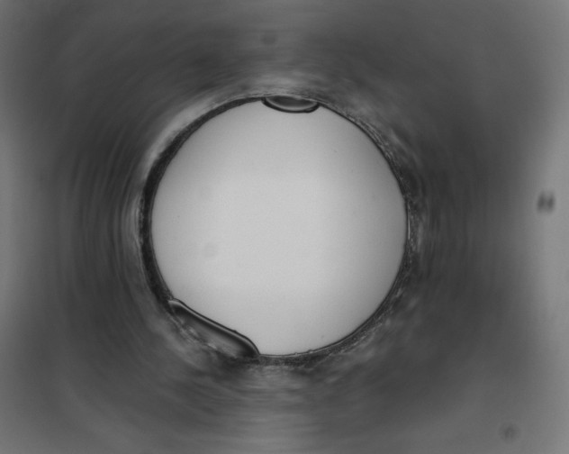X0000101390244200807280944