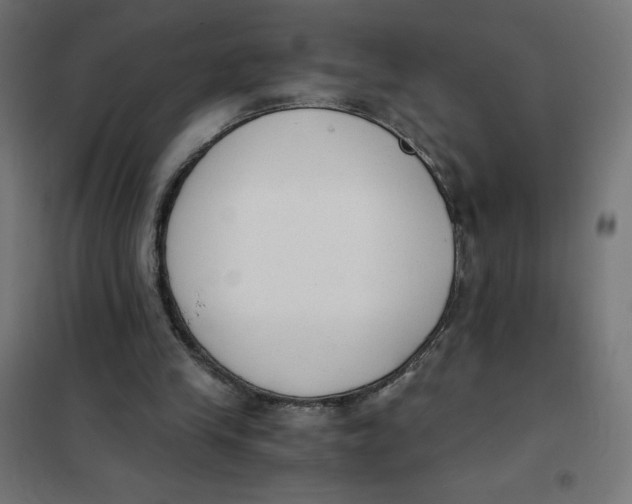 X0000101390245200807280944