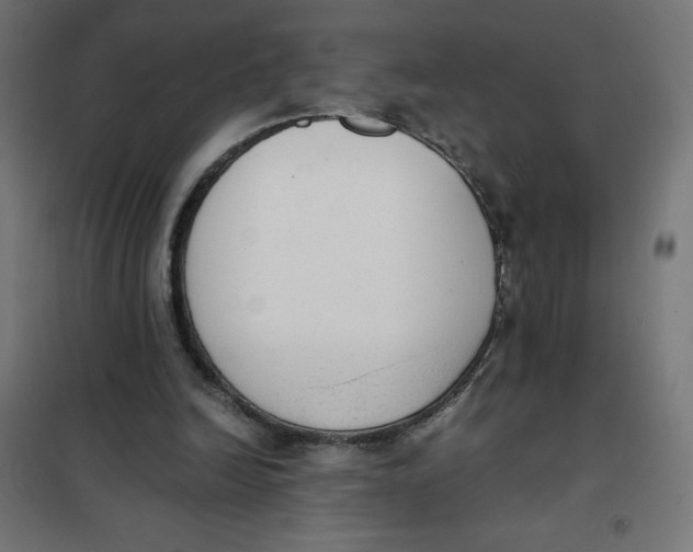 X0000101390246200807280944