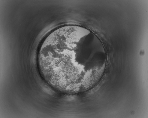 X0000101390247200807280944