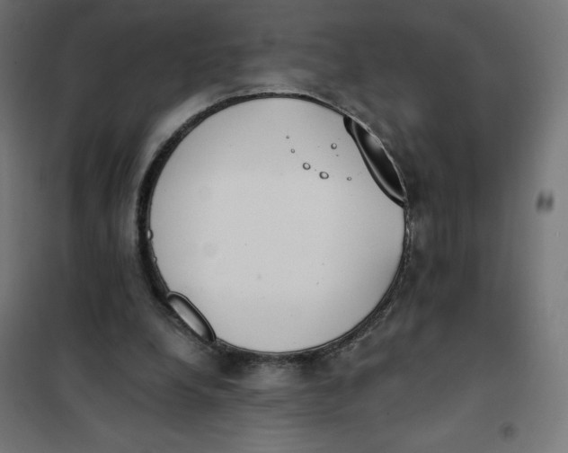 X0000101390248200807280944