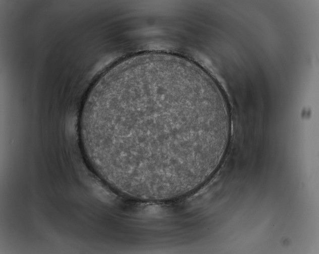 X0000101390249200807280944