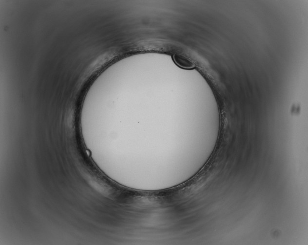 X0000101390250200807280944