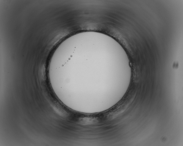 X0000101390251200807280944