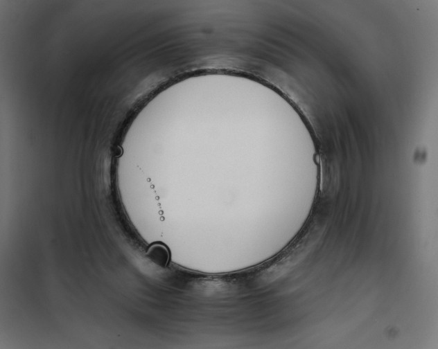 X0000101390253200807280944