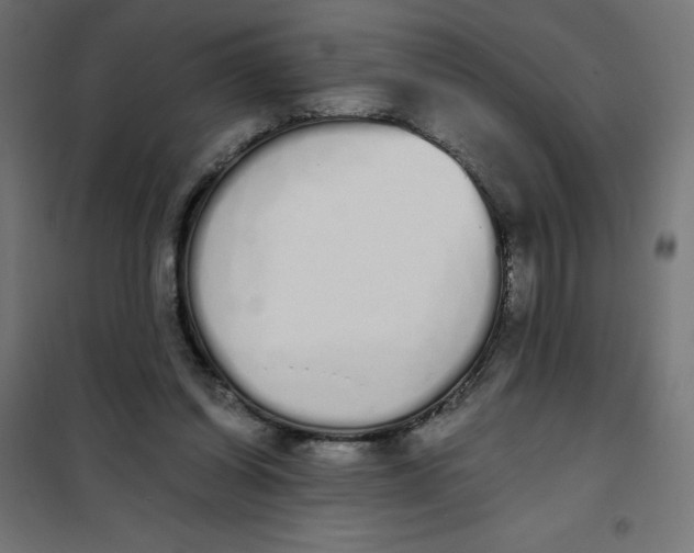 X0000101390254200807280944