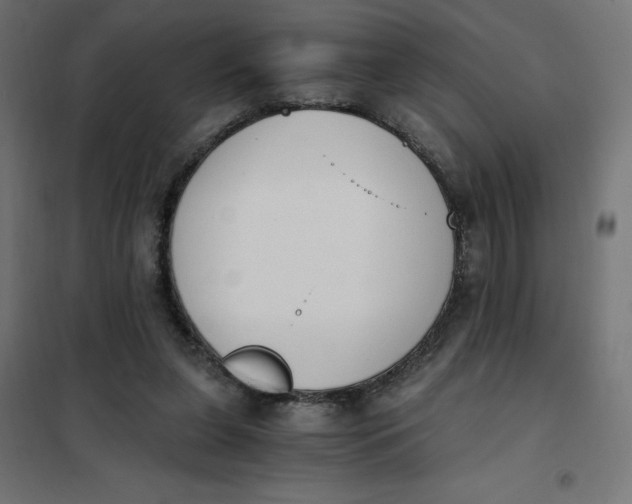 X0000101390255200807280944
