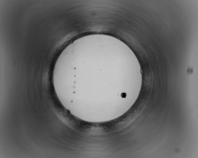 X0000101390256200807280944