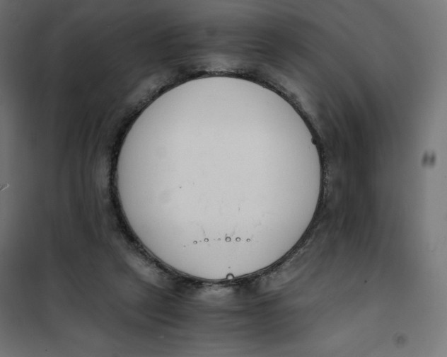 X0000101390257200807280944