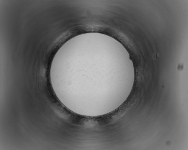 X0000101390258200807280944