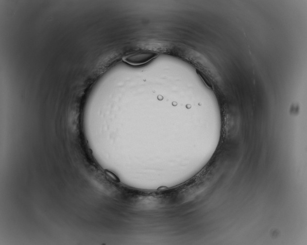 X0000101390259200807280944