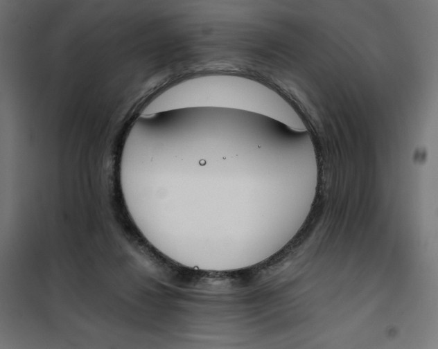 X0000101390260200807280944
