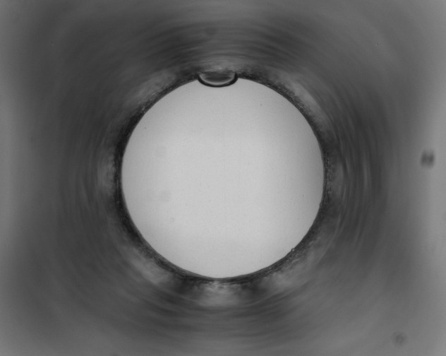 X0000101390261200807280944