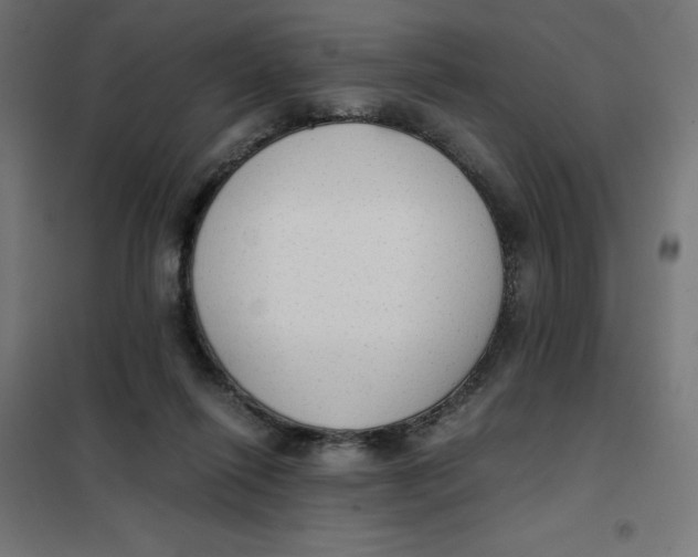 X0000101390262200807280944