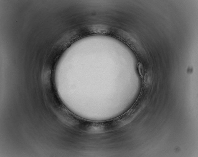 X0000101390263200807280944