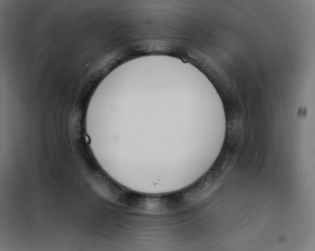X0000101390264200807280944
