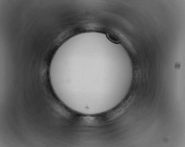 X0000101390265200807280944