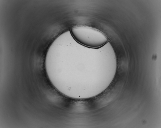 X0000101390268200807280944