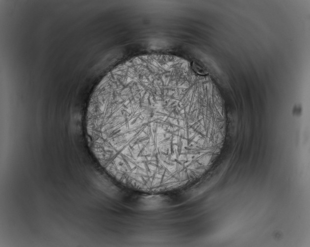 X0000101390269200807280945
