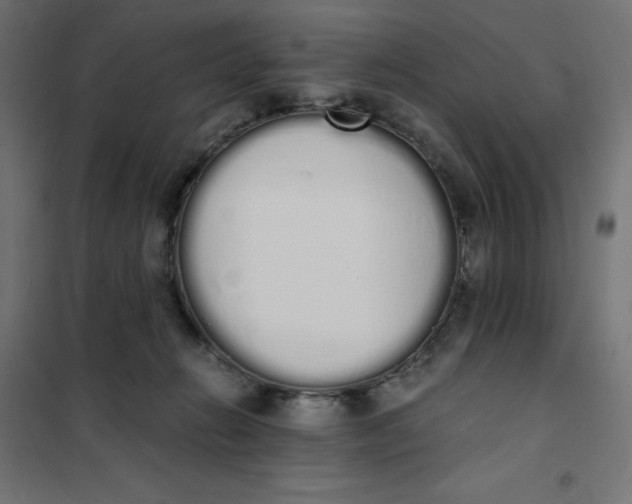 X0000101390270200807280945