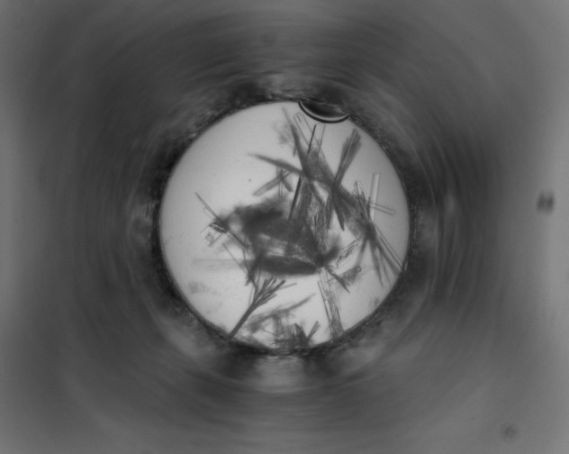 X0000101390271200807280945