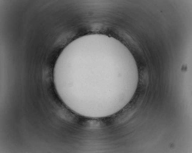 X0000101390272200807280945
