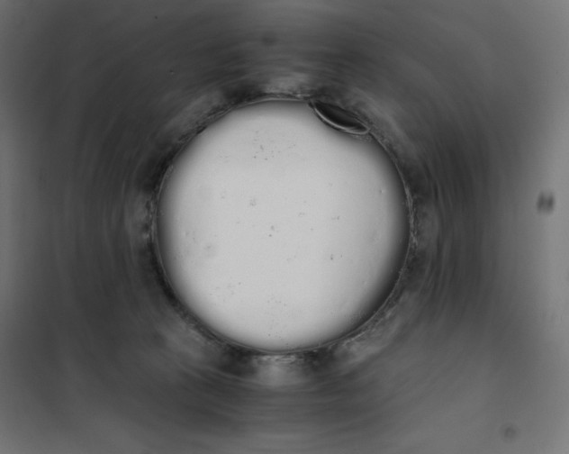 X0000101390273200807280945