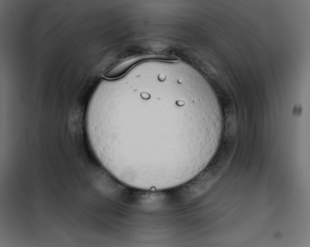 X0000101390274200807280945