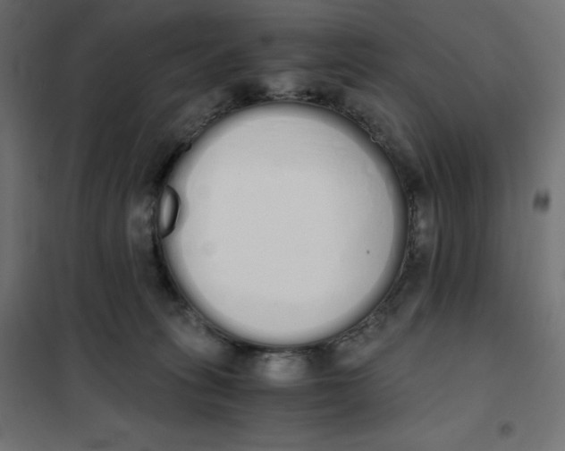 X0000101390275200807280945