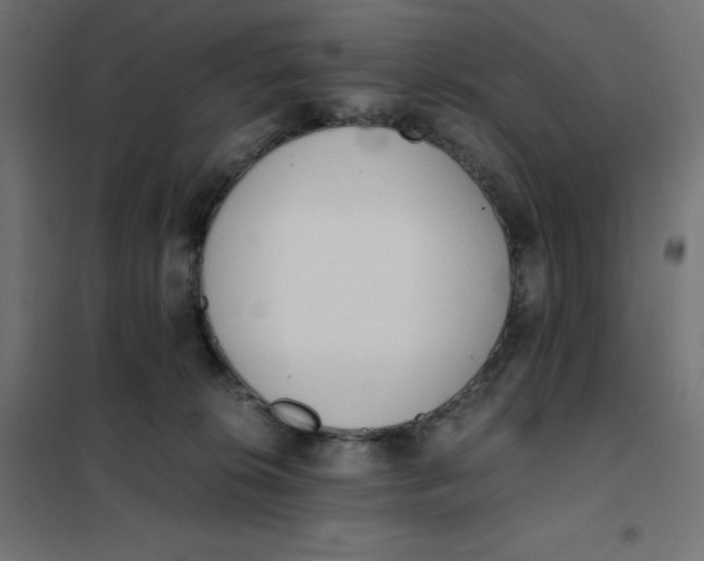 X0000101390276200807280945