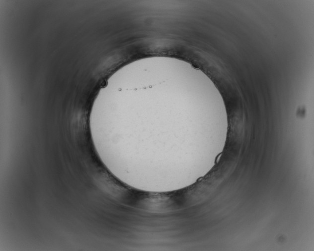 X0000101390278200807280945