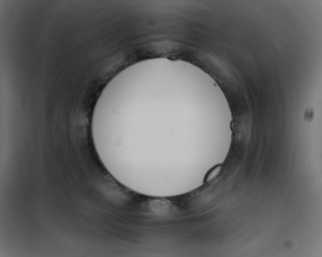 X0000101390279200807280945