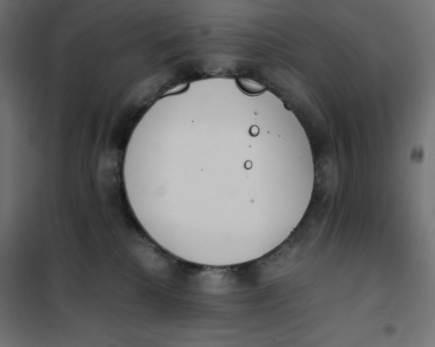X0000101390280200807280945