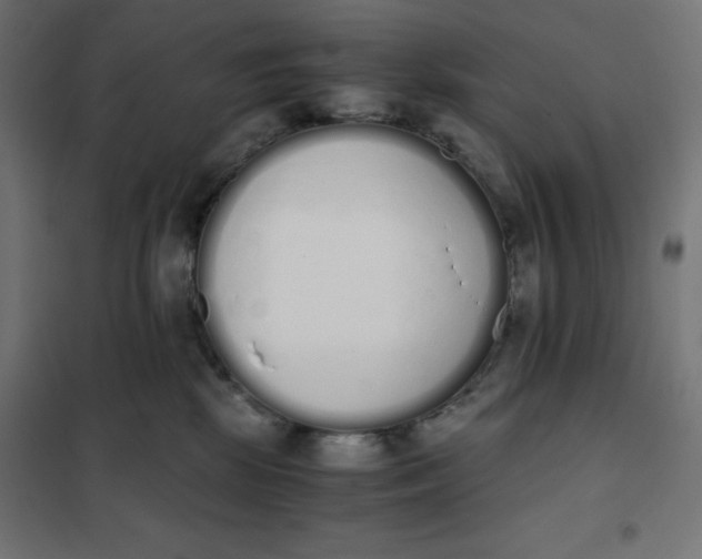 X0000101390281200807280945