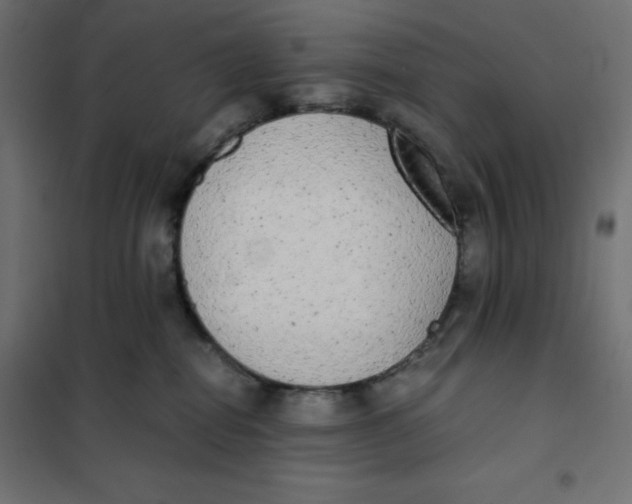X0000101390282200807280945