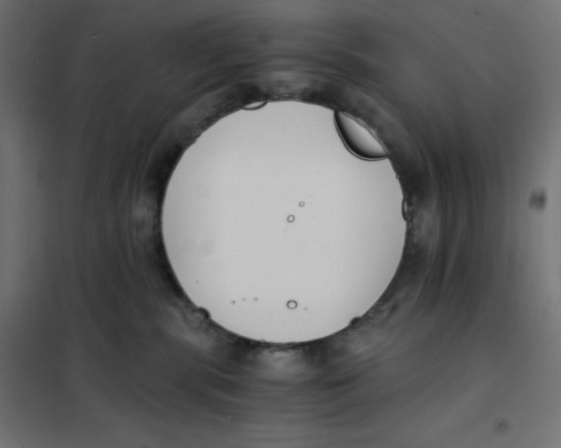 X0000101390283200807280945